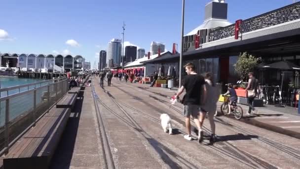 Visitors Auckland Wynyard Quarter Former Commercial Harbor Turned Development Mostly — стоковое видео
