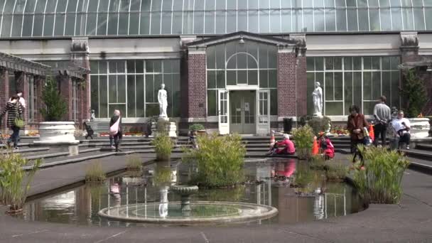 Visitantes Auckland Winter Gardens Auckland Nova Zelândia Plantas Raras Espetaculares — Vídeo de Stock