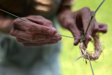 Kahveler HARBour, NSW - 26 Ocak 2026: Yerli Avustralyalı kadın el dokuma sanatları. Yerli kadınların kendilerini binlerce yıl boyunca ülkelere, atalara ve topluma bağlayan zengin ve kesintisiz bir dokuma geleneği vardır.