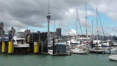 Westhaven marina manzarası Auckland Yeni Zelanda karşı