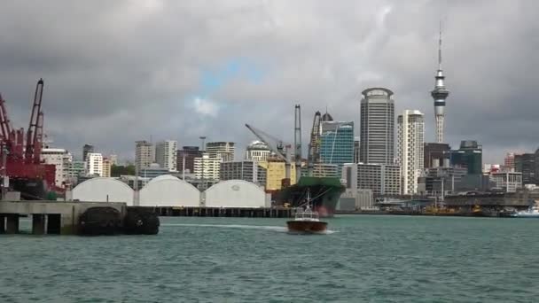 Pilotní lodní plachta ven z přístavů Auckland Nový Zéland — Stock video