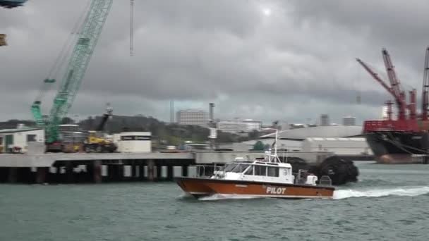 Pilot boot varen uit van poorten van Auckland Nieuw-Zeeland — Stockvideo