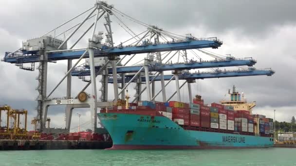 Cargo ship workers unloading containers in Ports of Auckland New Zealand — Stock Video