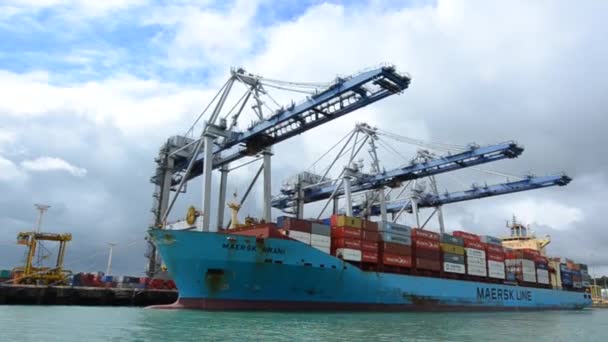 Vrachtschip in havens van Auckland Nieuw-Zeeland — Stockvideo