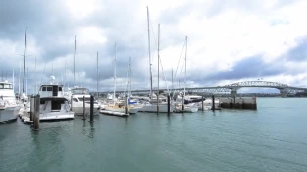 Westhaven marina Auckland harbor bridge Yeni Zelanda karşı — Stok video