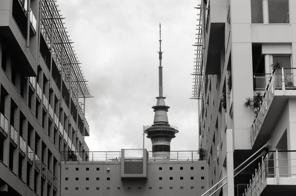 Aucklands Sky tower toppen - Nya Zeeland — Stockfoto