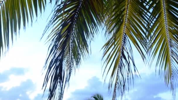 Laguna di Aitutaki Isole Cook — Video Stock