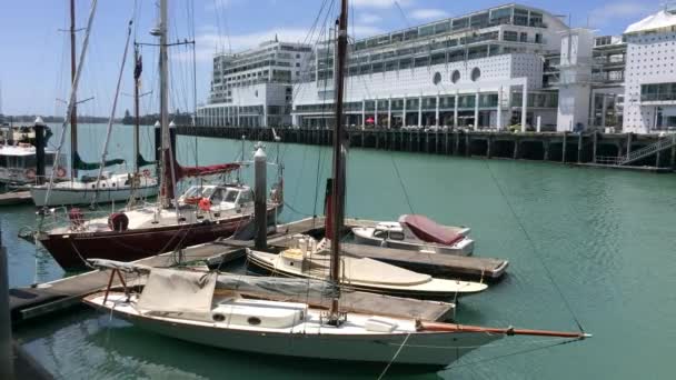 Yacht mooring in Auckland waterfront at queens wharf New Zealand — ストック動画