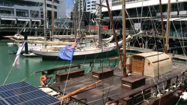 Yacht mooring in Auckland waterfront at queens wharf New Zealand — Stock Video