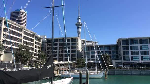 Yacht mooring in Auckland waterfront New Zealand — ストック動画