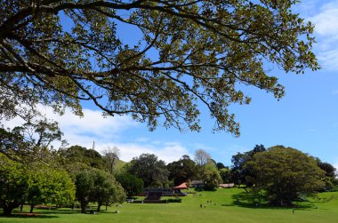 Cornwall Park Auckland Yeni Zelanda