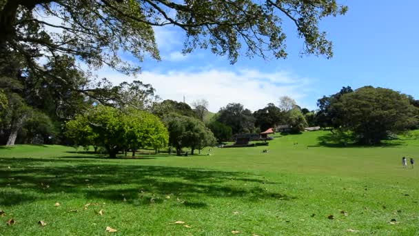 Cornwall park in Auckland New Zealand.mov — Stock Video