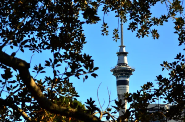 Sky Tower i Auckland Nya Zeeland — Stockfoto