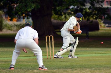 Cricket batsman try to blocks the ball