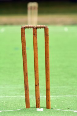 Cricket pitch with wicket and stump