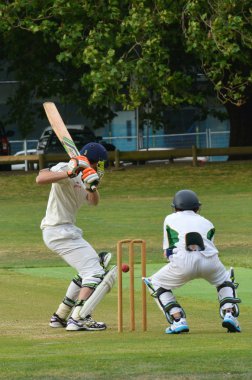 Men play Cricket in Victoria park Auckland, New Zealand