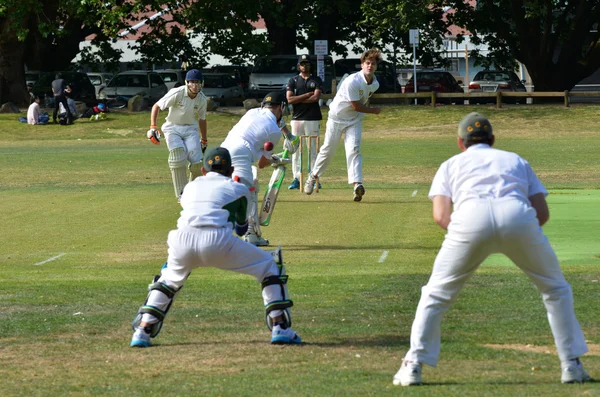 A bowler bowling to a batsman. — ストック写真