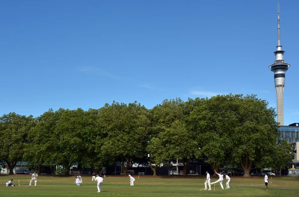 Gli uomini giocano a cricket nel parco Victoria Auckland, Nuova Zelanda — Foto Stock