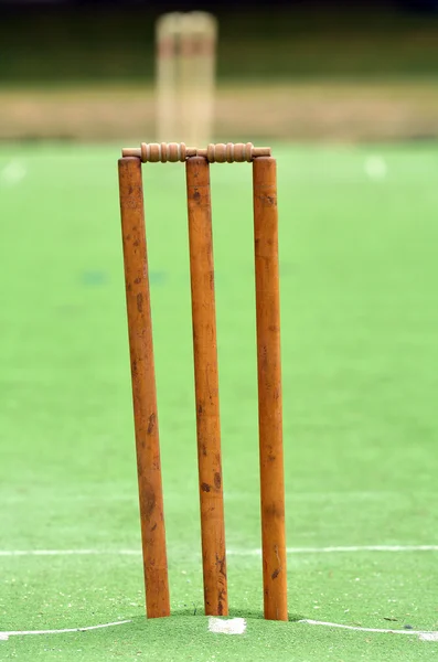 Cricketplatz mit Wicket und Baumstumpf — Stockfoto