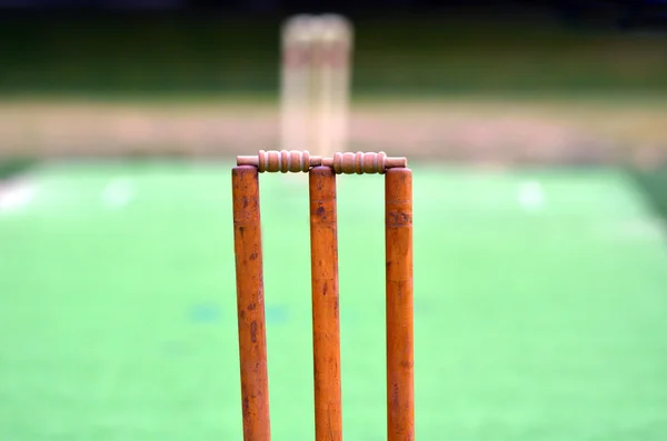 Крикетное поле с калиткой и пнем — стоковое фото