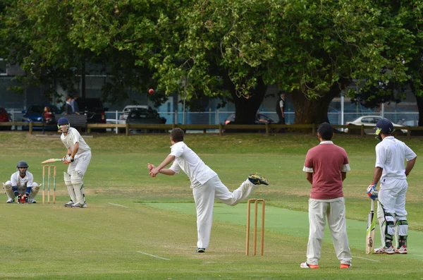 Men play Cricket in Victoria park Auckland, New Zealand