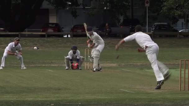 पुरुष विक्टोरिया पार्क ऑकलैंड न्यूजीलैंड में क्रिकेट खेलते हैं — स्टॉक वीडियो