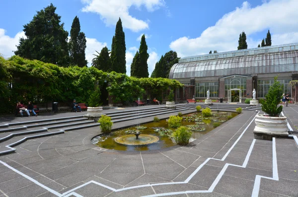 Auckland Winter Gardens in Auckland New Zealand — Stock Photo, Image