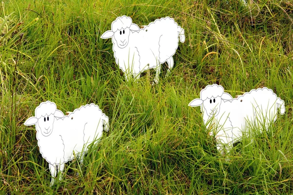 Three sheep outdoor — Stock Photo, Image