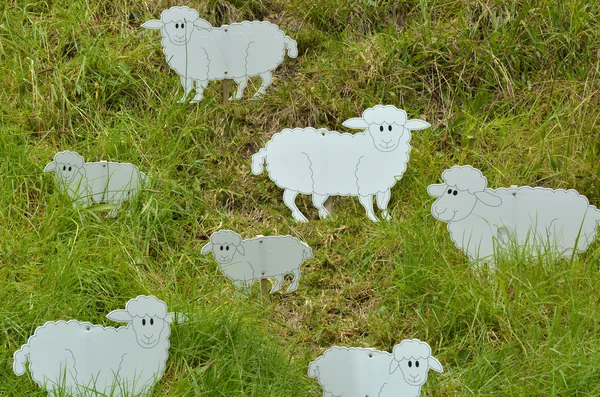 Flock of sheep. — Stock Photo, Image