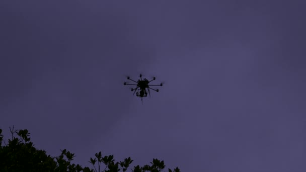 Drone vuela en el aire en Dus — Vídeo de stock
