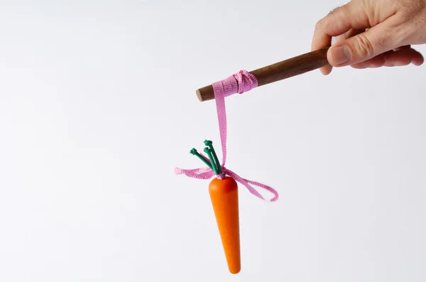 Man hand offering a carrot  on a stick — Stock Photo, Image