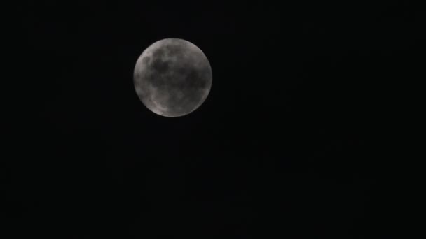 Nuvens cobre lua cheia — Vídeo de Stock