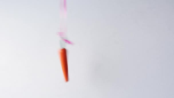 Zanahoria o palo enfoque modismo — Vídeo de stock