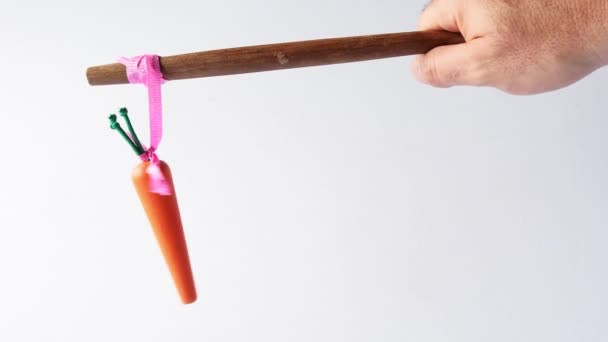 Man hand offering a carrot  on a stick — Stock Video