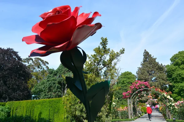 Christchurch Dec 2015 Erfgoed Rose Garden Christchurch Botanic Gardens Nieuw — Stockfoto