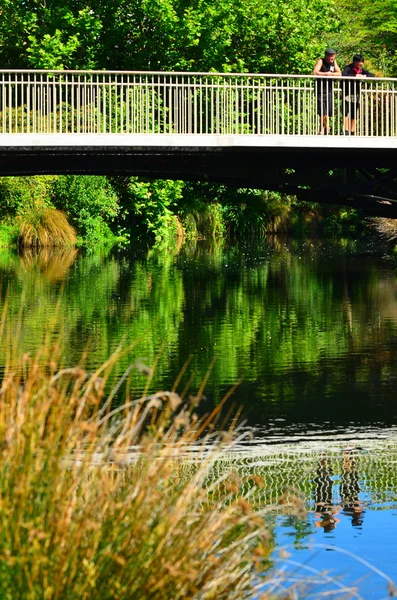 Visitors on a bridge spanning over the in Avon River Christchurc — Stock Photo, Image