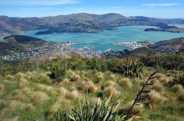 Lyttelton Christchurch - Nový Zéland — Stock fotografie