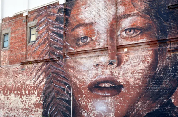크라이스트처치-뉴질랜드에 벽화 — 스톡 사진