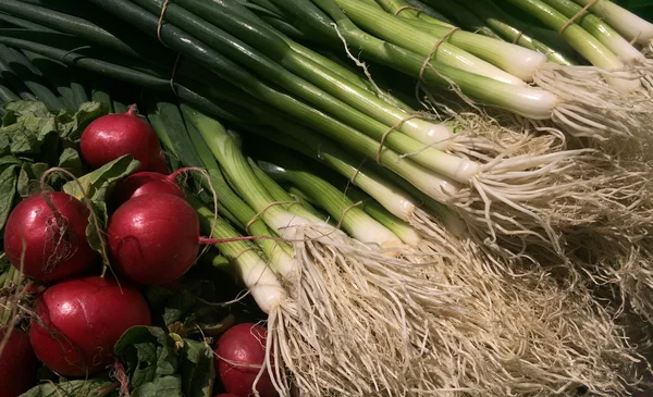 Rädisor och vårlök utställda på marknaden. — Stockfoto