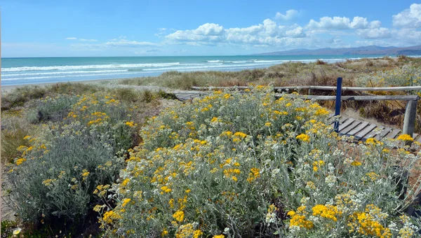 New Briton Beach Christchurch - New Zealand — Stock Photo, Image