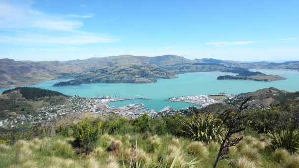 Τοπίο Lyttelton λιμάνι Christchurch της Νέας Ζηλανδίας — Αρχείο Βίντεο