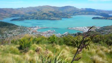 Lyttelton Harbour Christchurch Yeni Zelanda manzara