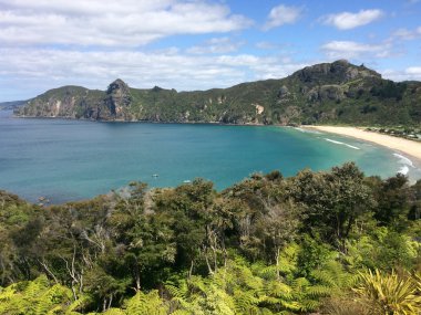 Taupo Bay Northland, Yeni Zelanda havadan görünümü