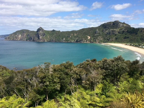 Vista aérea de la bahía de Taupo en Northland, Nueva Zelanda — Foto de Stock