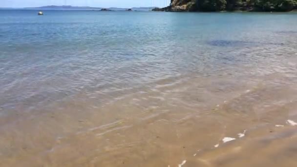 Τοπίο της Νέας Ζηλανδίας Coopers παραλία — Αρχείο Βίντεο