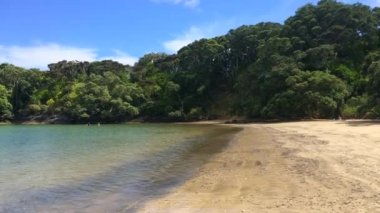 Manzaralı Coopers Beach Yeni Zelanda