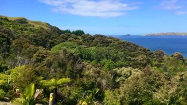 Northland Yeni Zelanda Taupo Koyu'nun panoramik havadan görünümü