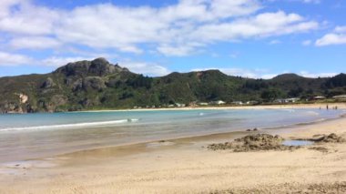 Taupo Bay Northland Yeni Zelanda
