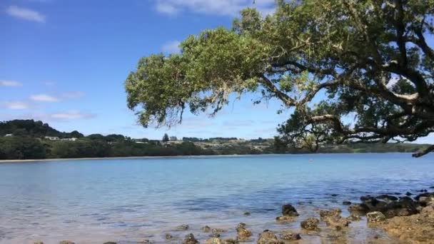 Τοπίο της Νέας Ζηλανδίας Coopers παραλία — Αρχείο Βίντεο