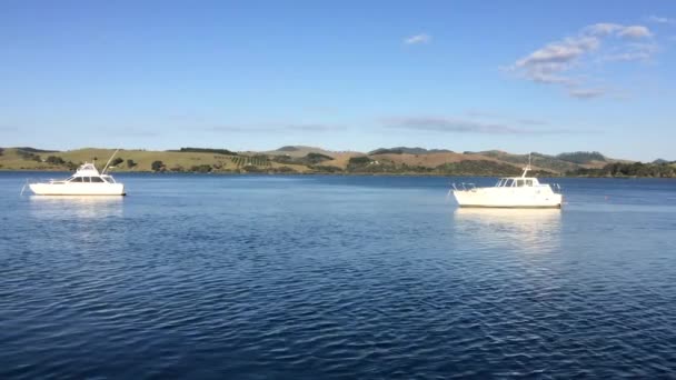 Paisaje vista del puerto de Mangonui Northland Nueva Zelanda — Vídeo de stock